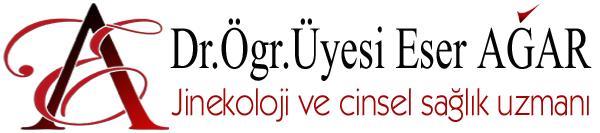 vajinadaralt.com üst sayfa logosu